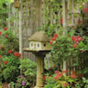 Meet your Posher, Toni